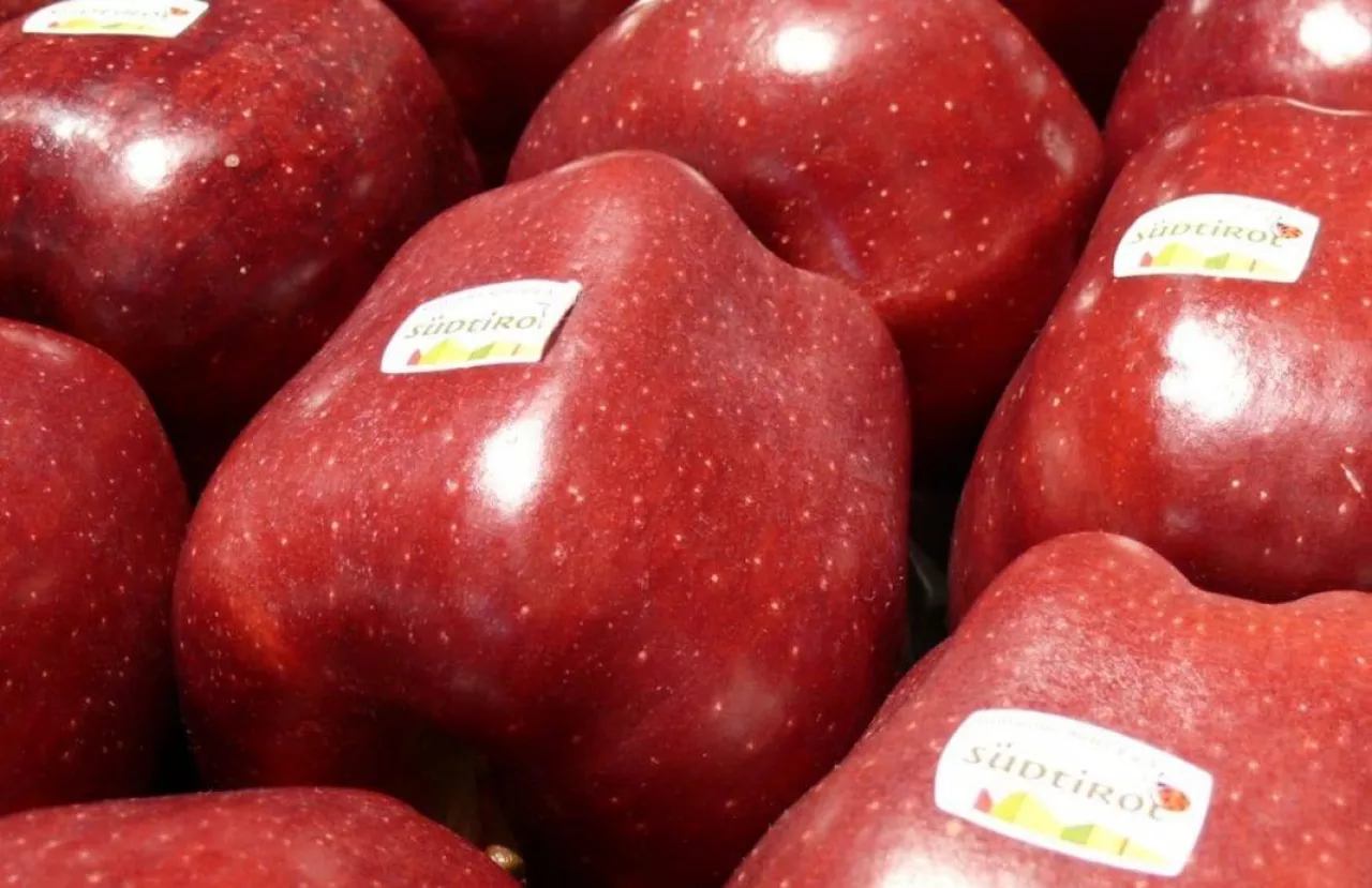 Red Delicious