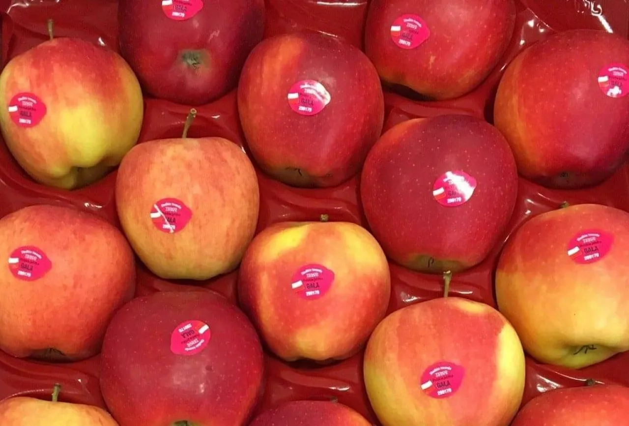 Polskie jabłka