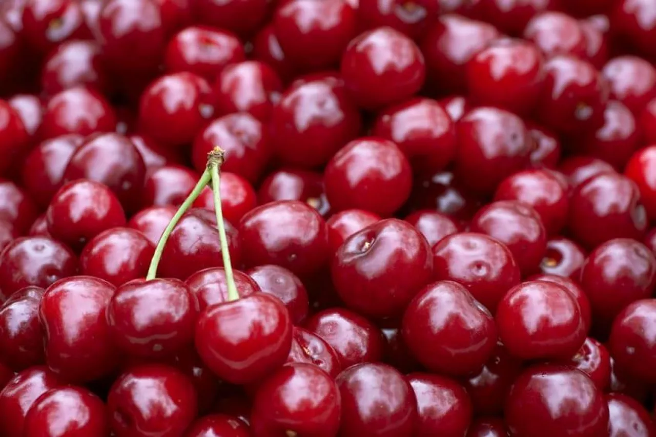 Background from ripe fresh red cherries close-up
