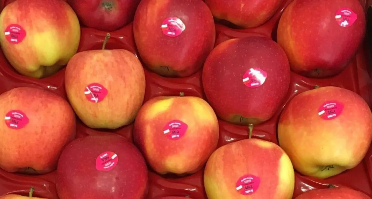 Polskie jabłka