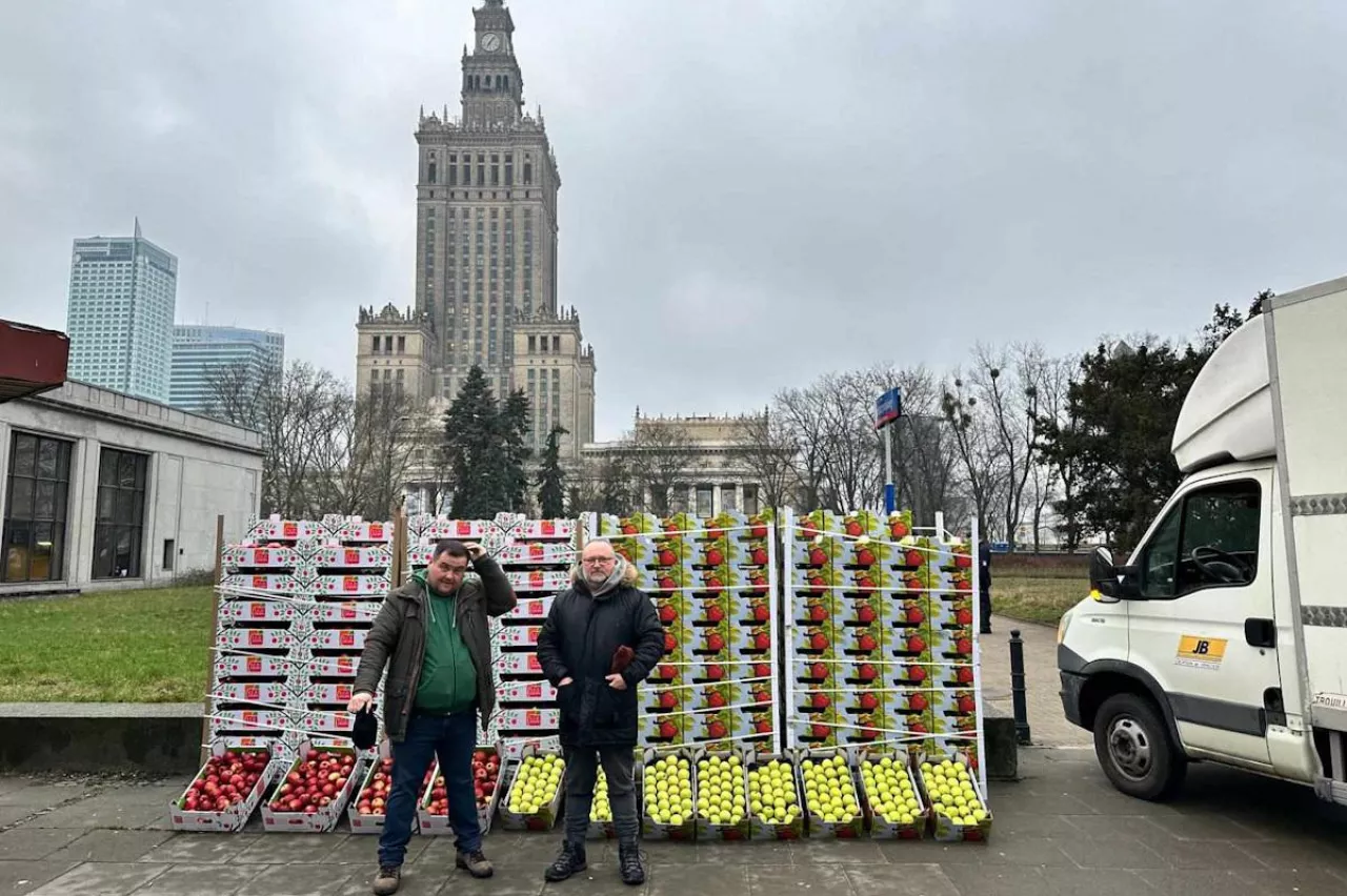 polscy sadowniczy częstowali warszawiaków jabłkami