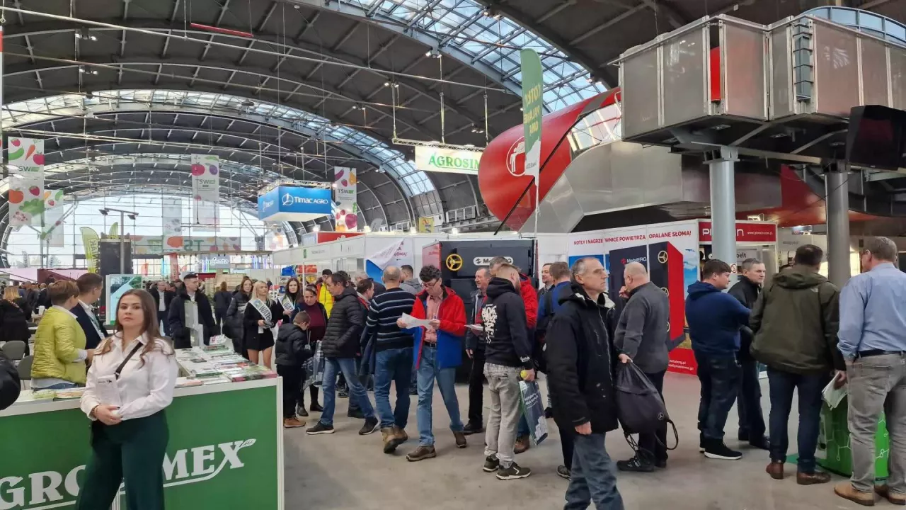 TSW 2024 galeria zdjec