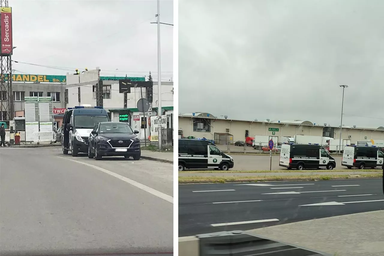 Inspekcja Transportu Drogowego