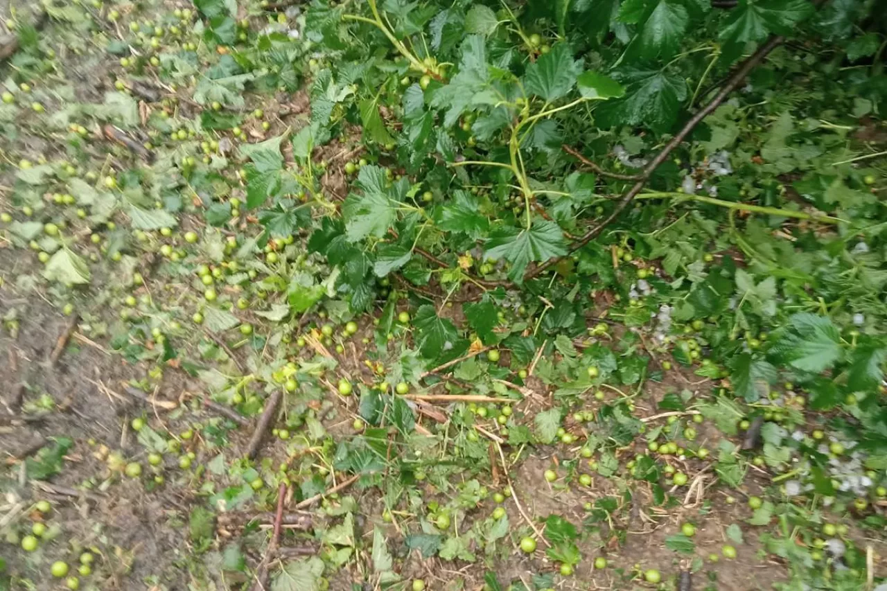 gradobicia na Lubelszczyźnie