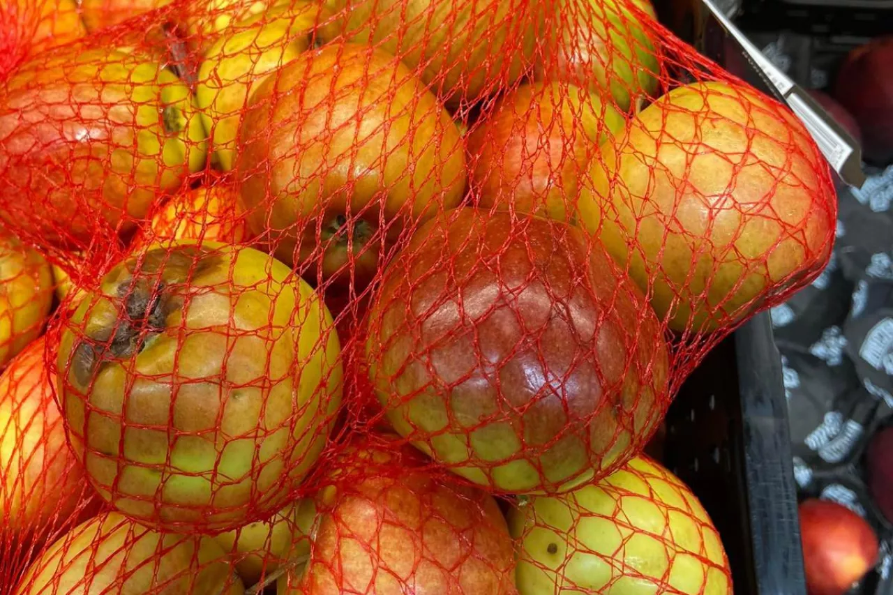 jakosć jabłek lidl