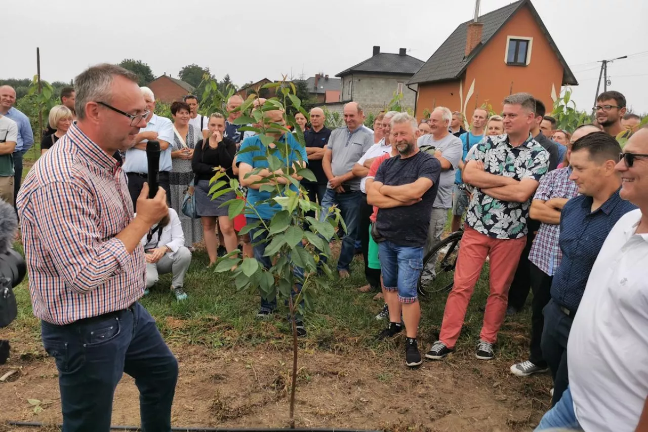 Krzysztof Gasparski, PROCAM Polska