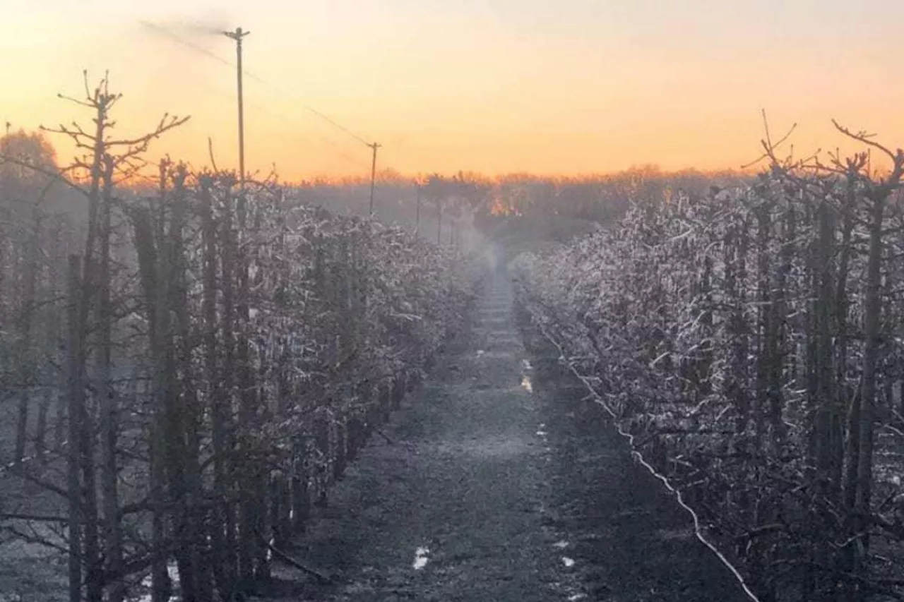 kradzieże w gospodarstwach