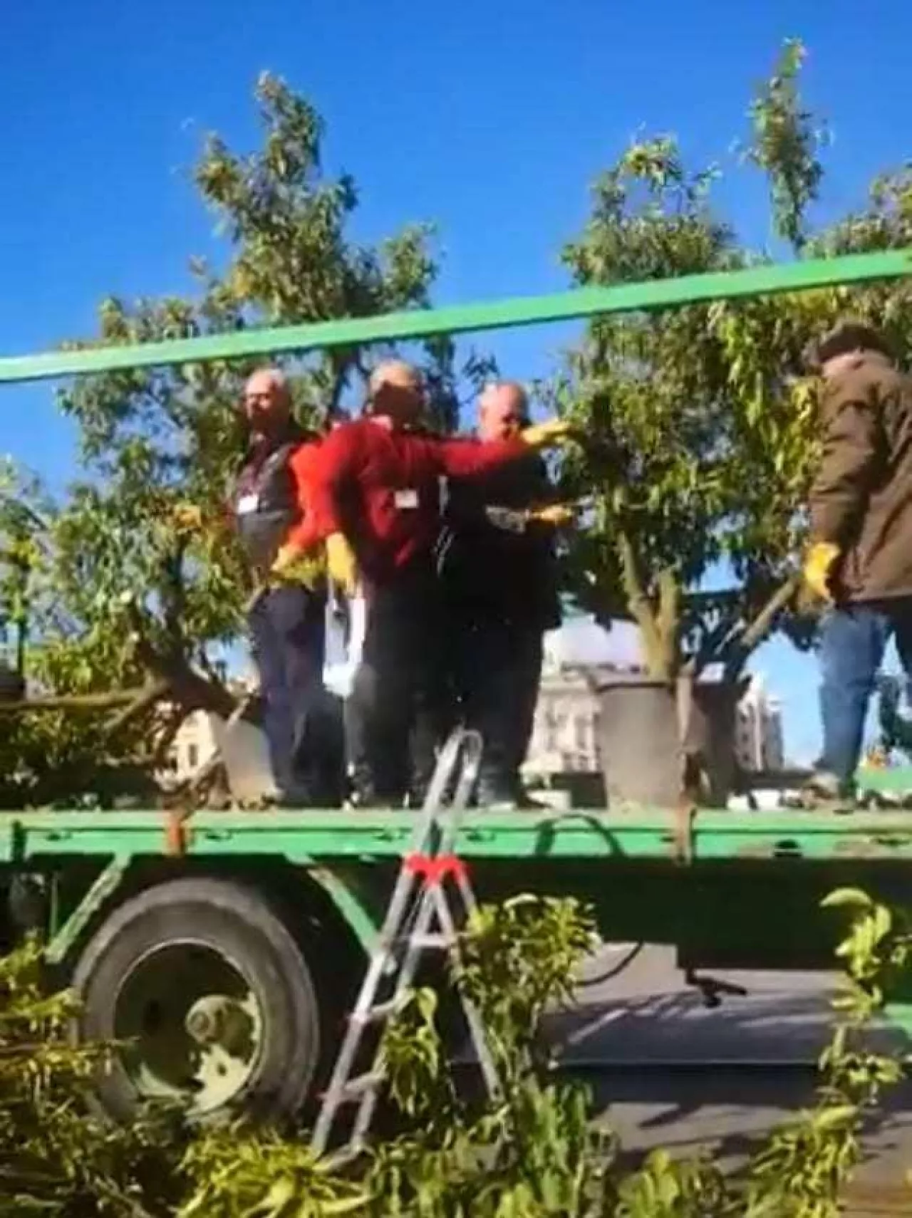 Protesty hiszpańskich sadowników - 15 luty 2020