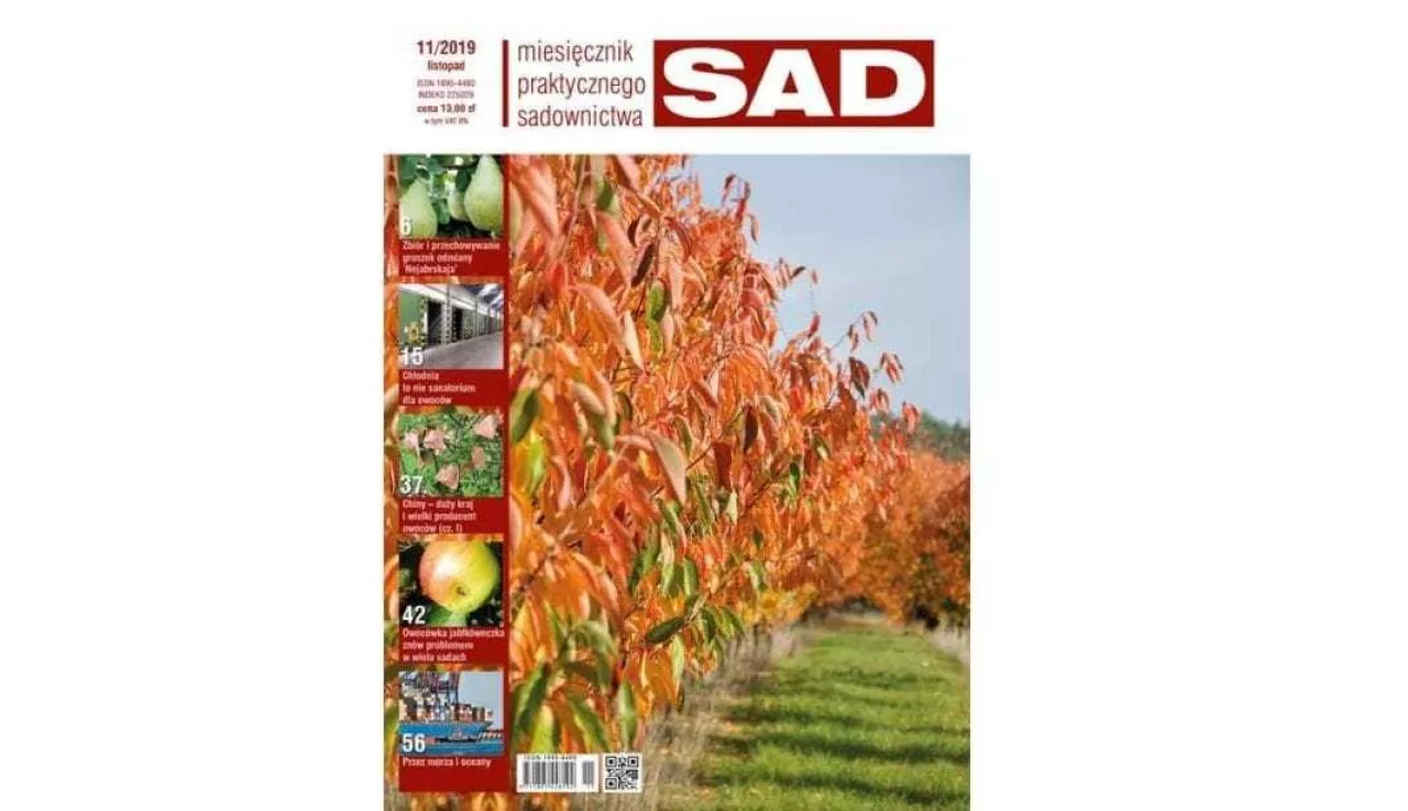 MPS Sad numer 11/2019 - zapowiedź