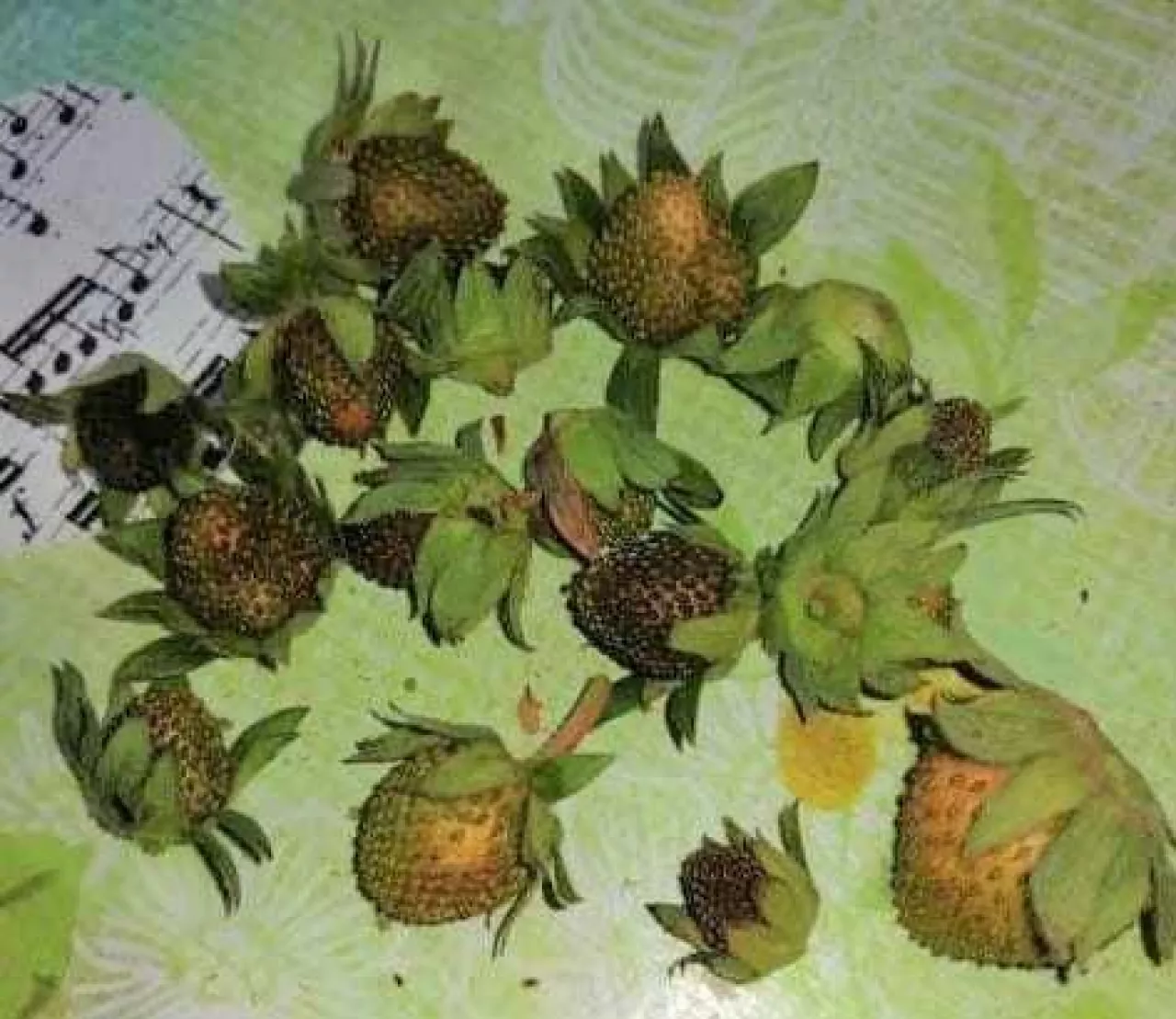 fot. Jacek Witkowski