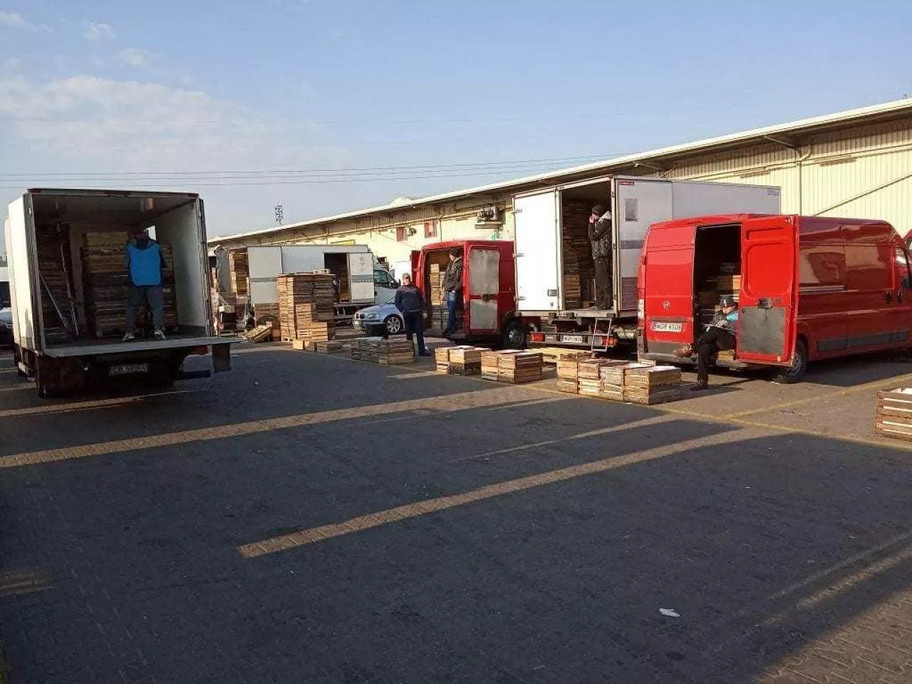 Ceny hurtowe jabłek - WRSRH Bronisze