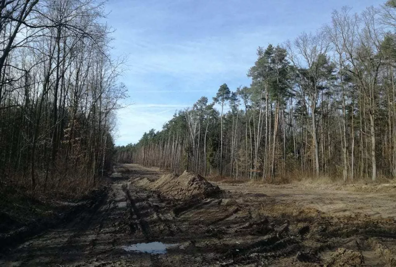 Ruszyła budowa nowego zakładu T.B. Fruit