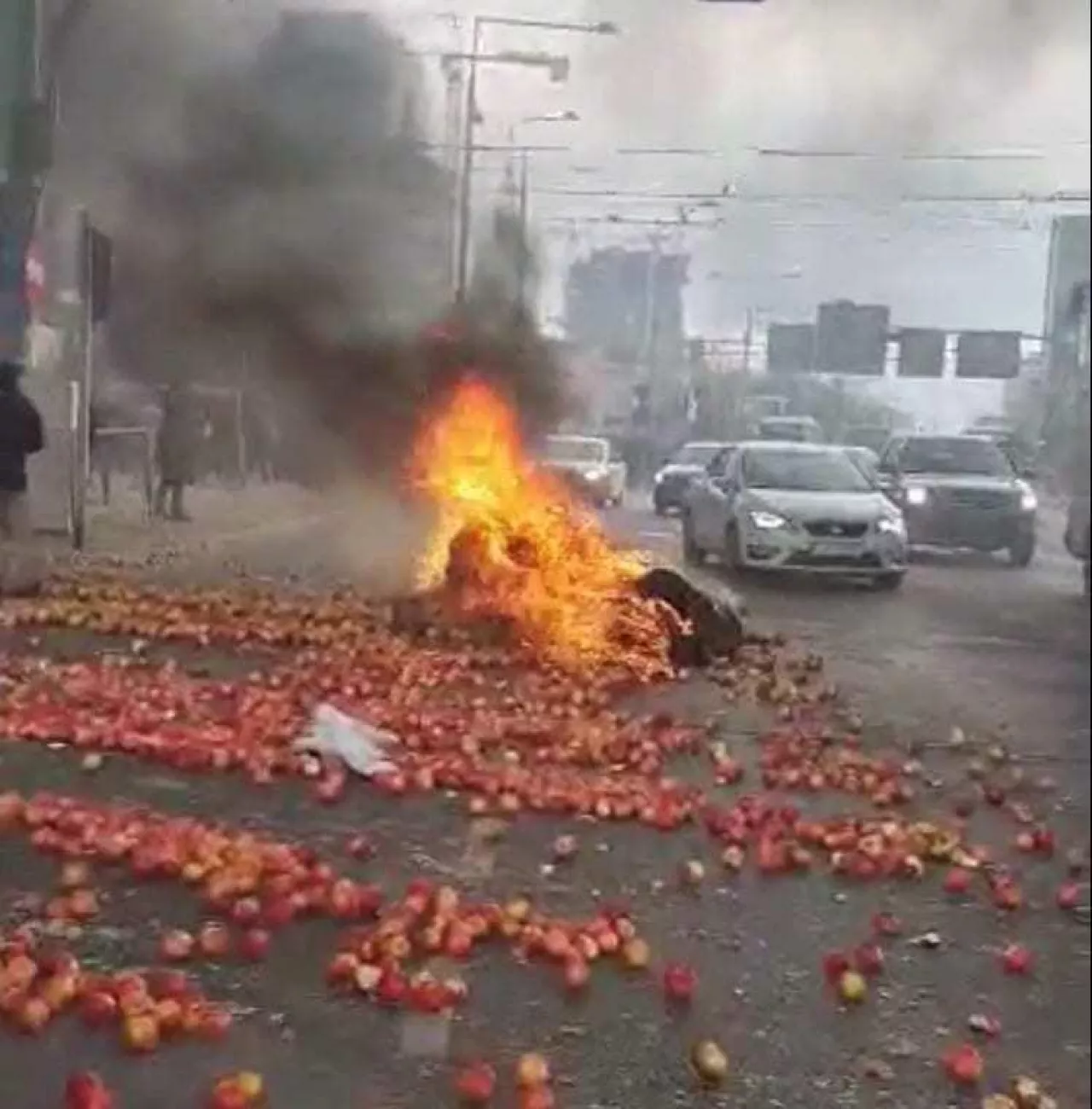 A u nas na Placu Zawiszy staruszka zbiera jabłka do reklamówek…