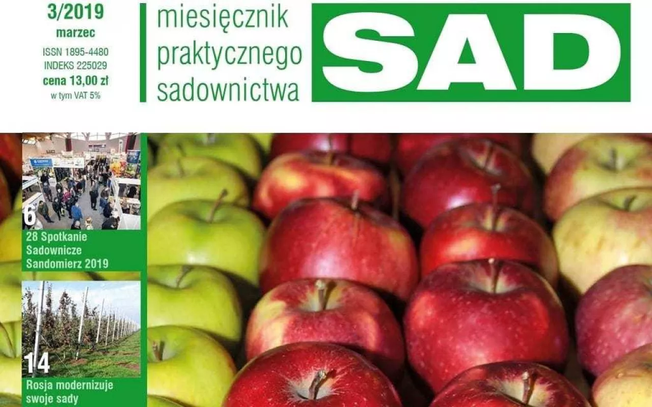 MPS SAD numer 3/2019 - okładka
