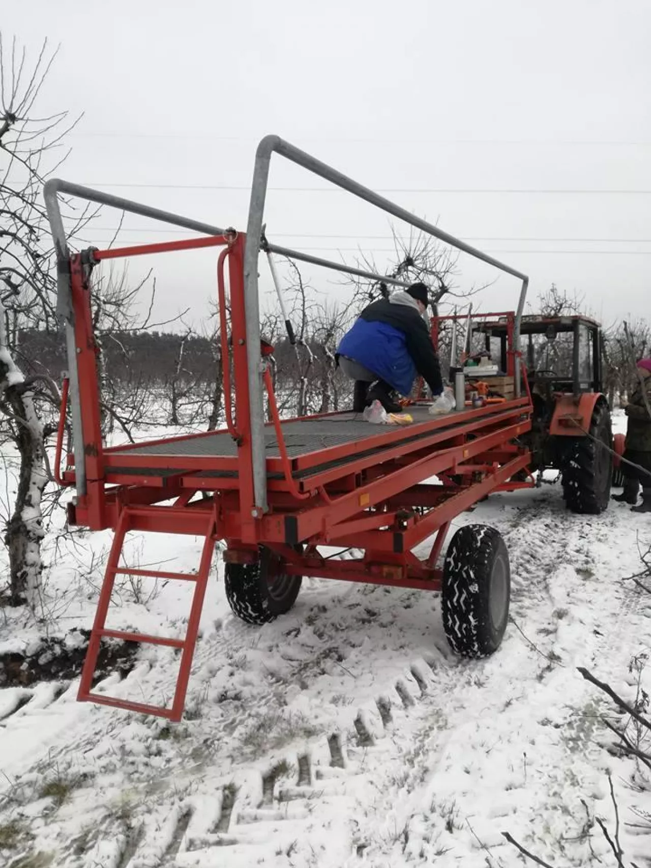 platoforma sadownicza