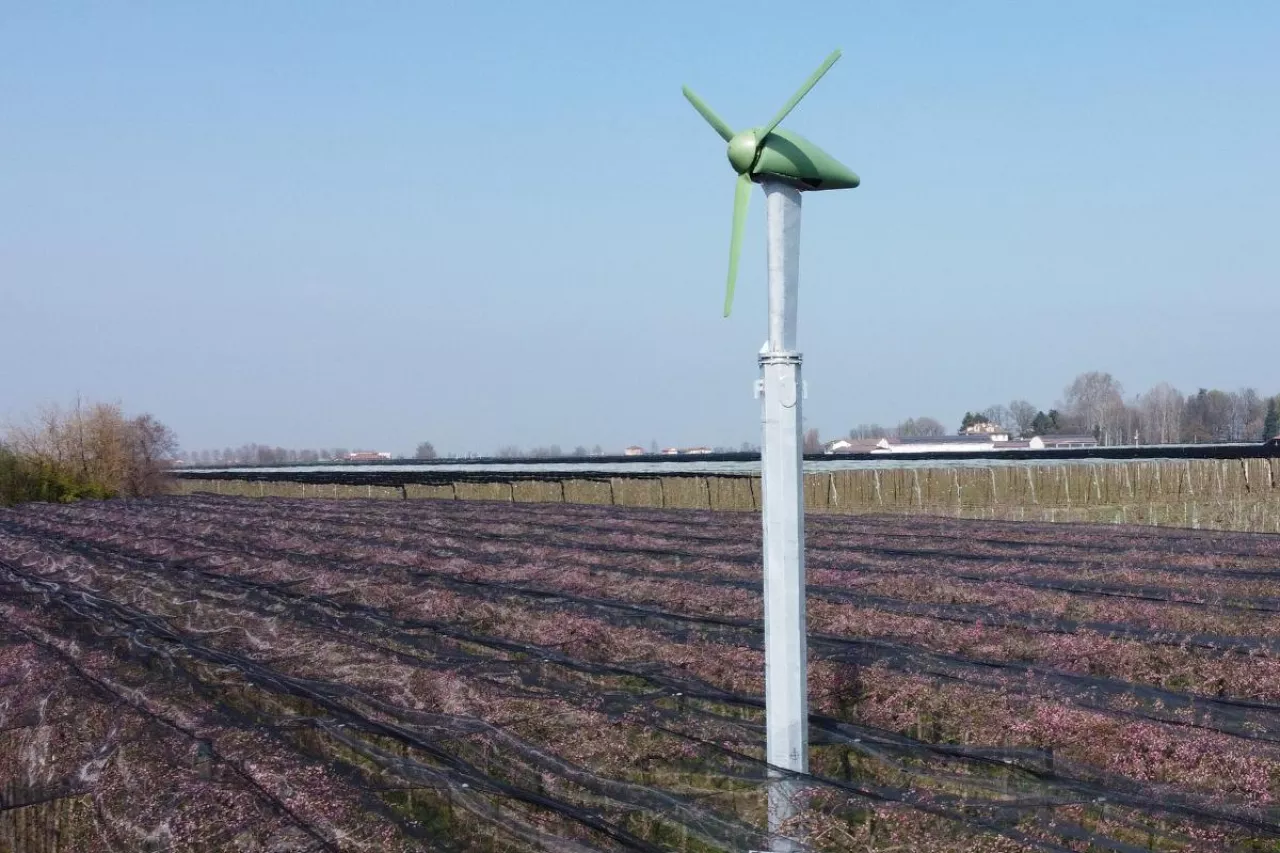 wiatrak przymrozek