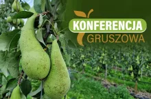 konferencja gruszowa
