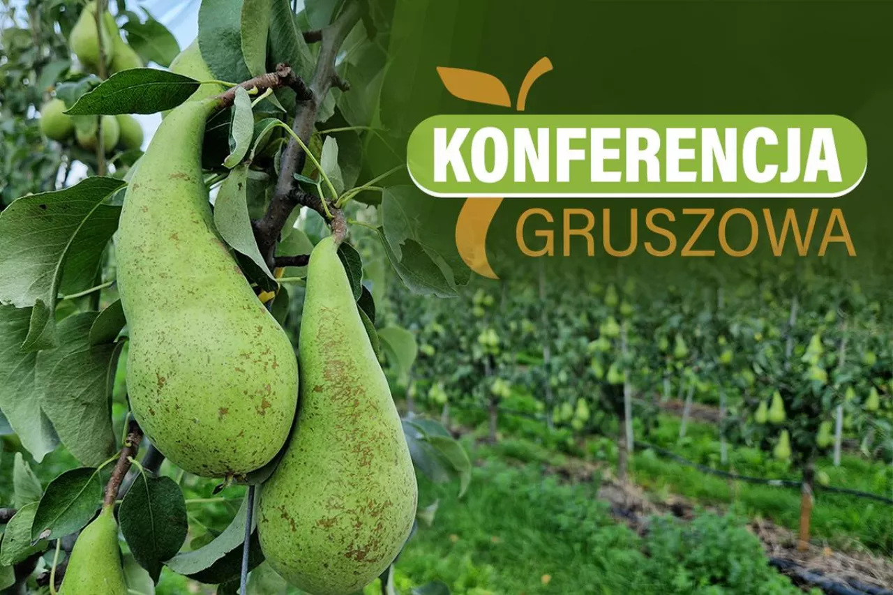 konferencja gruszowa