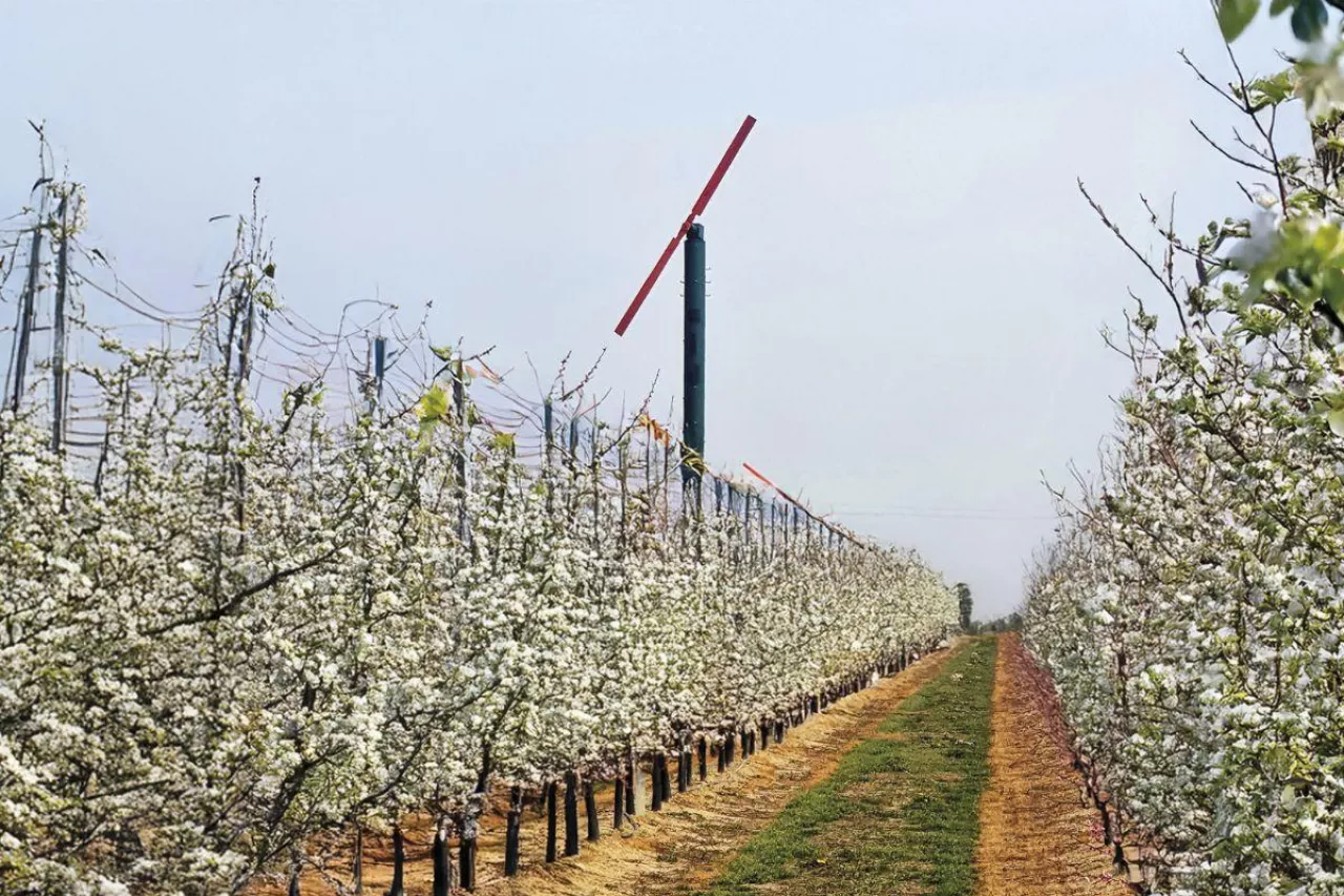 przeciwprzymrozkowa maszyna wiatrowa