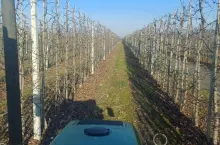 sadownicy wykonują pierwsze zabiegi w sadach