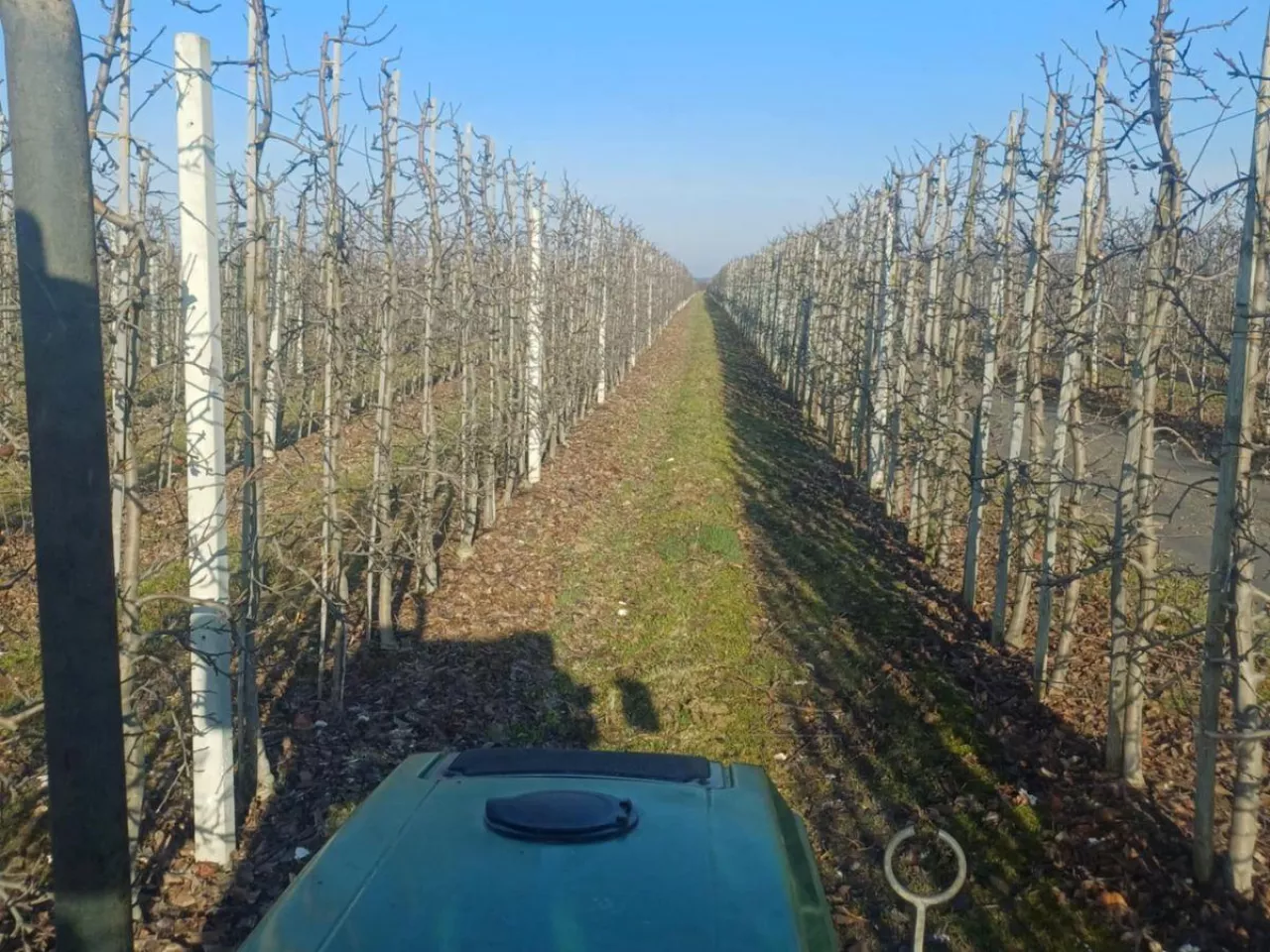 sadownicy wykonują pierwsze zabiegi w sadach