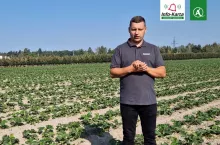 komunikat tomasz domanski