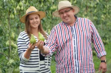 zbiory gruszek w gospodarstwie panstwa kot