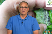 dr Krzysztof Gasparski