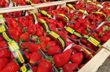 Rynek hurtowy Rimini