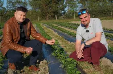 Zbigniew Jarosz Marcin Żabowski