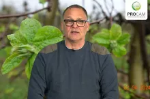 komunikat sadowniczy krzysztof gasparski