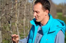 komunikat sadowniczy mateusz nowacki