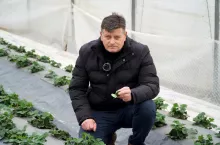 dr Zbigniew Jarosz Doradca Jagodowy