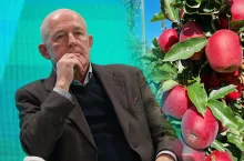 Jerzy Jasiorowski sadownik