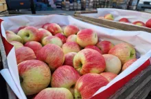 jabłka na rynku hurtowym