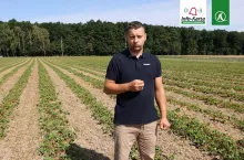 komunikat dla truskawek