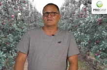 komunikat sadowniczy