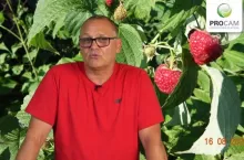 Krzysztof Gasparki Procam