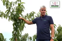 komunikaty sadownicze