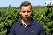 komunikaty sadownicze 2020