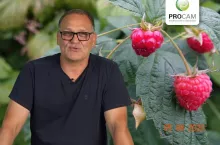 komunikaty sadownicze