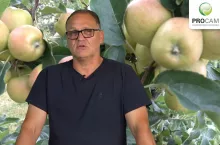 komunikat sadowniczy 2020