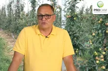 komunikaty sadownicze