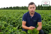 komunikat sadowniczy