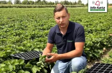 komunikat dla truskawek