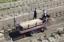 platforma sadownicza na ursusie c330