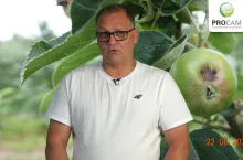 komunikaty sadownicze