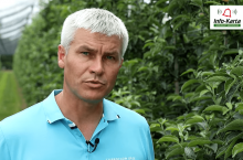 komunikat sadwoniczy