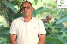 komunikaty sadownicze