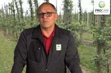 Komunikat sadowniczy PROCAM 12 z 03.06.2020